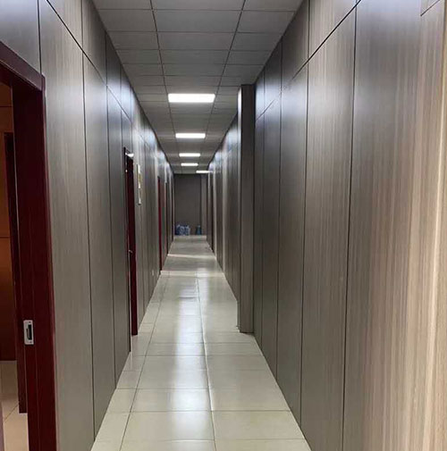 Hongze -järven lääketieteellinen ja hoitotyön integraatioprojekti